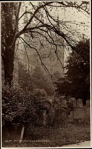 Ak Peterborough Cambridgeshire England, Cathedral