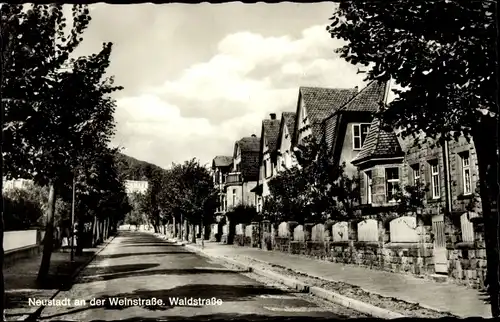 Ak Neustadt an der Weinstraße, Waldstraße