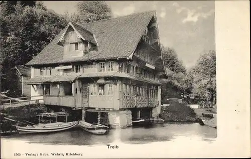 Ak Treib Seelisberg Kanton Uri, Hotel, Boote