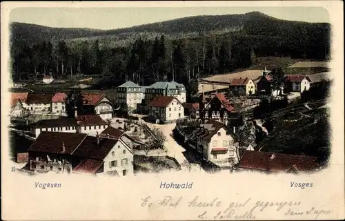 Ak Le Hohwald Elsass Bas Rhin, Teilansicht