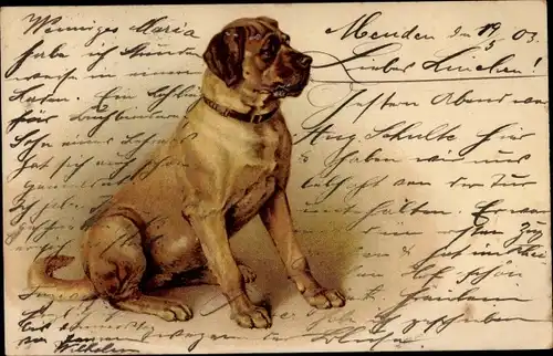 Litho Hundeportrait, sitzender Hund