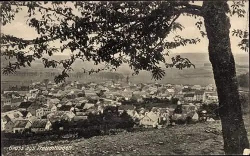 Ak Treuchtlingen im Altmühltal Mittelfranken, Panorama