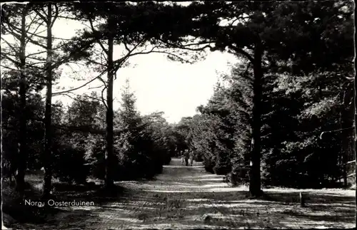 Ak Norg Drenthe, Oosterduinen