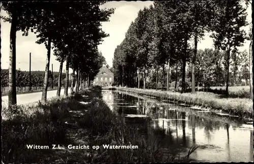 Ak Wittem Limburg Niederlande, Gezicht op Watermolen