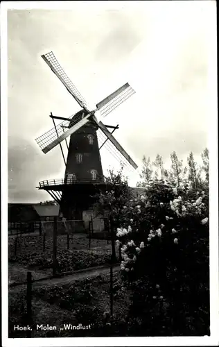 Ak Hoek Zeeland Niederlande, Molen Windlust