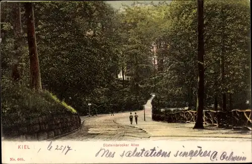 Ak Kiel Schleswig Holstein, Düsternbrooker Allee