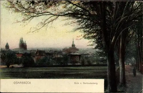 Ak Osnabrück in Niedersachsen, Blick vom Gertrudenberg, Panorama, Kirchturm, Allee