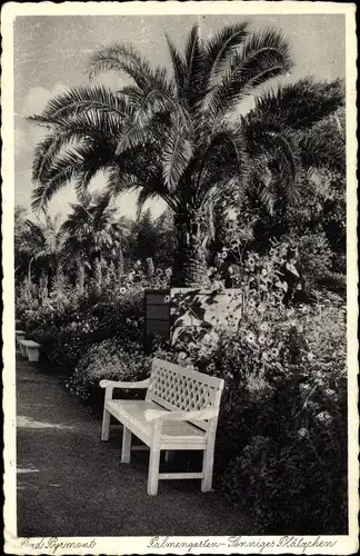 Ak Bad Pyrmont in Niedersachsen, Palmgarten-Sonniges Plätzchen