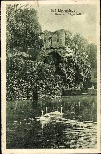 Ak Bad Lippspringe in Westfalen, Ruine mit Lippequelle