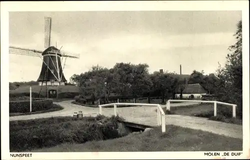 Ak Nunspeet Gelderland, Molen De Duif