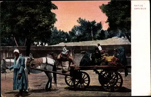 Ak Ägypten, Native Omnibus, Fuhrwerk