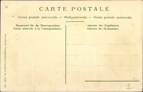 Präge Passepartout Ak Nyon Kanton Waadt, Stadtansicht, Edelweiß