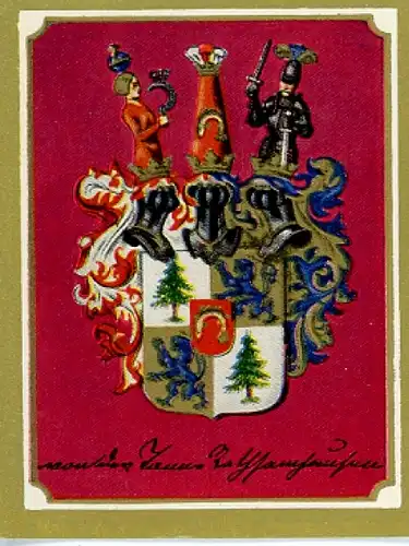 Sammelbild Ruhmreiche Deutsche Wappen Nr 111, Ludwig von der Tann-Rathsamhausen, bayerischer General