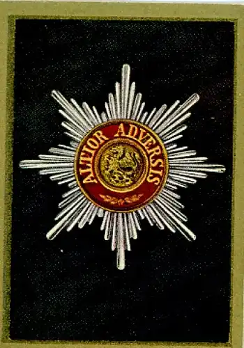Sammelbild Orden, Verdienst Orden Nr. 134, Mecklenburg, Stern zum Großkreuz Greifen-Orden