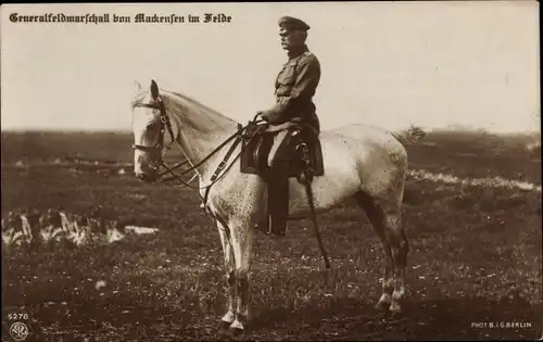 Ak Generalfeldmarschall von Mackensen im Felde, Pferd, NPG 5278