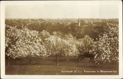 Ak Noorbeek Limburg Niederlande, Panorama in Bloemsem-tijd