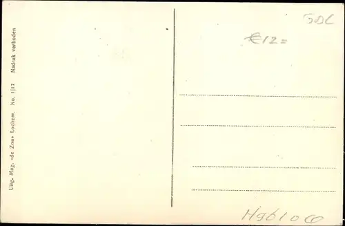 Ak Lochem Gelderland, Panorama