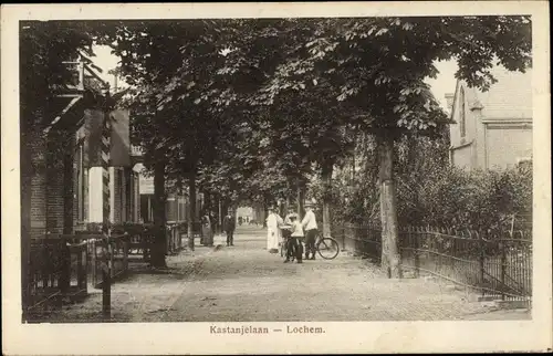 Ak Lochem Gelderland, Kastanjelaan