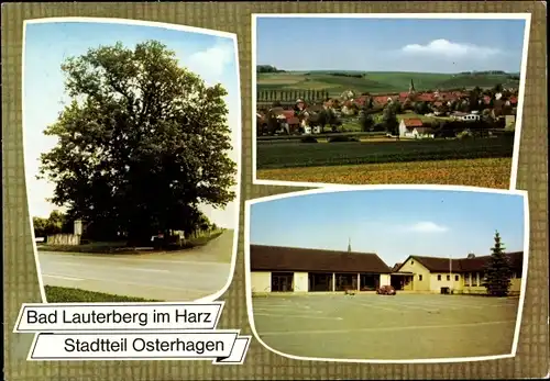 Ak Osterhagen Bad Lauterberg am Harz, Panorama, Baum, Gebäude mit Parkplatz