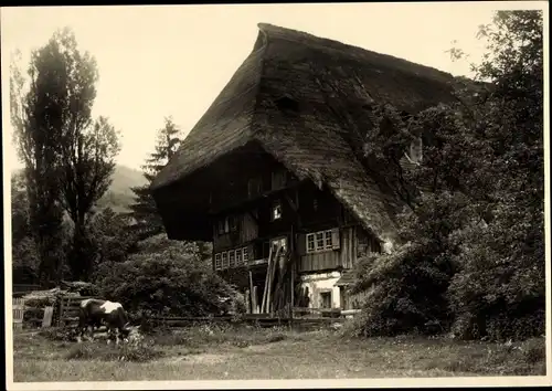 Foto Ak Triberg im Schwarzwald, Schwarzwaldhaus