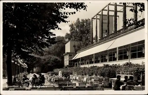 Ak Frankfurt am Main, Palmengarten, Außenansicht, Terrasse, Besucher