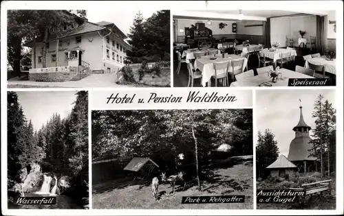 Ak Bad Säckingen am Hochrhein, Hotel und Pension Waldheim, Wasserfall, Park, Aussichtsturm