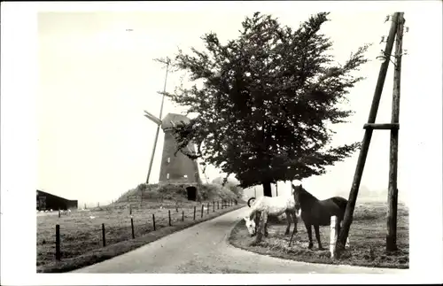 Ak Bronkhorst Bronckhorst Gelderland, Dwangmolen