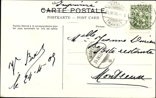 Ak Chien du St. Bernard, Bernhardiner