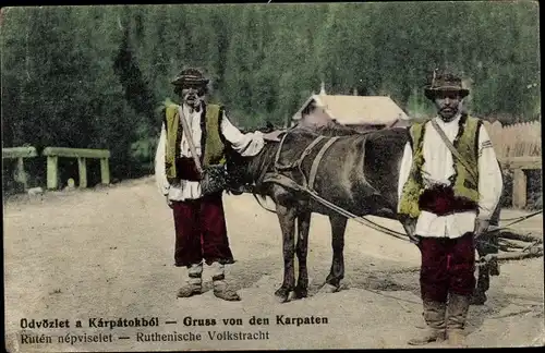 Ak Bauern mit Ochsengespann in den Karpaten, Ruthenische Volkstracht