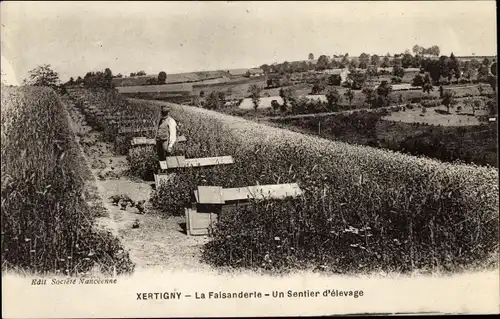 Ak Xertigny Lothringen Vosges, La Faisanderie, un Sentier d'elevage