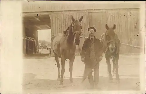 Foto Ak Junger Mann mit zwei abgemagerten Zugpferden, Stall, 1916