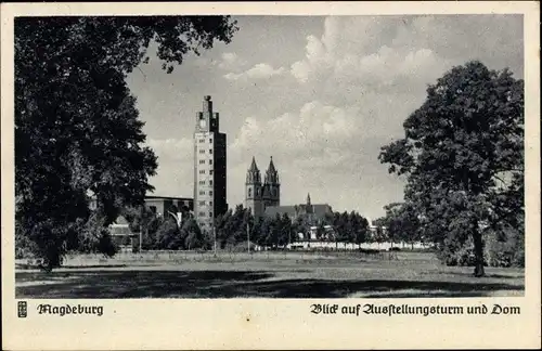 Ak Magdeburg an der Elbe, Blick auf Ausstellungsturm und Dom
