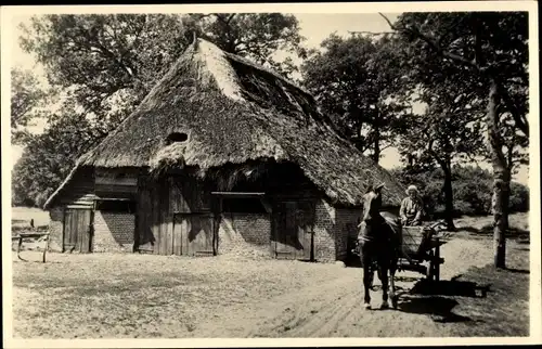 Ak Kralo Drenthe, Zeer oude schaapskool uit de Saksische 17e eeuw