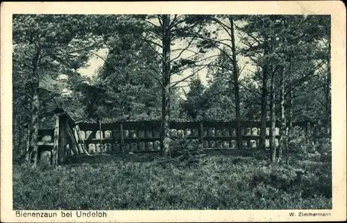 Ak Undeloh in der Nordheide, Bienenzaun