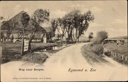 Ak Egmond aan Zee Nordholland Niederlande, Weg naar Bergen