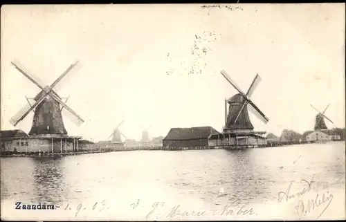 Ak Zaandam Zaanstad Nordholland, Windmühlen