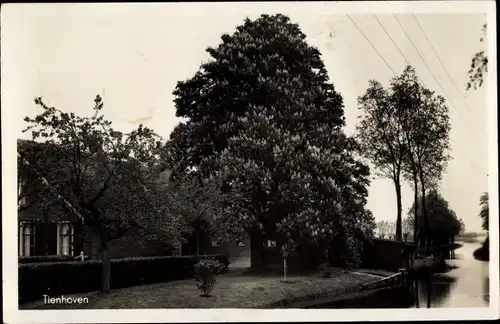 Ak Tienhoven Utrecht, Ortsansicht, Häuser, Fluss, Bäume