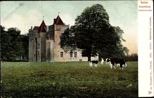 Ak Heemskerk Nordholland, Kasteel Assumburg, Kühe