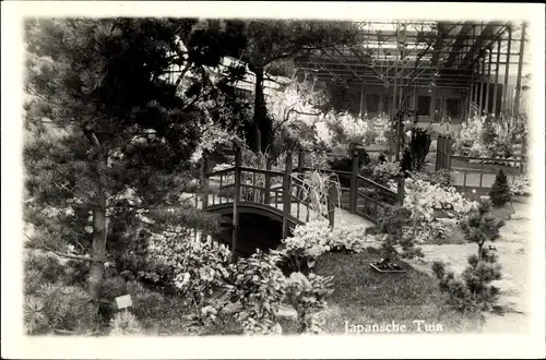 Ak Haarlem Nordholland Niederlande, Japanische Tuin