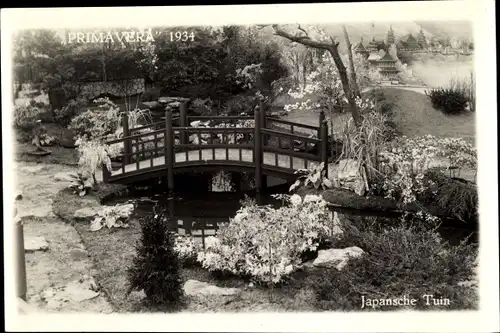 Ak Haarlem Nordholland Niederlande, Japanische Tuin, Brücke