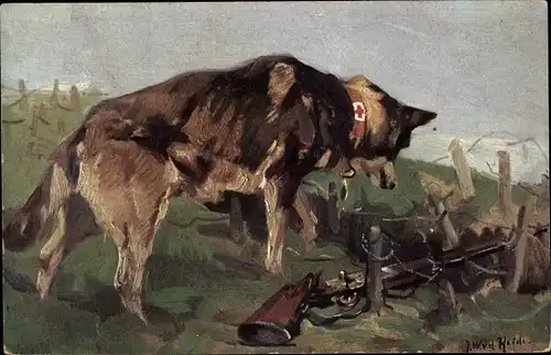 Künstler Ak v. d. Heide, J. W., Sanitätshund entdeckt in Wolfsgrube einen Verwundeten