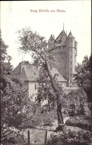 Ak Eltville am Rhein Hessen, Burg