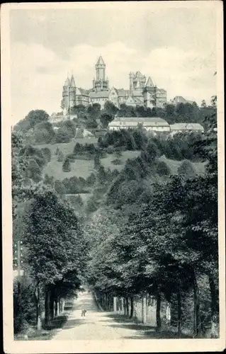 Ak Braunfels an der Lahn, Straßenpartie, Teilansicht, Hund, Allee