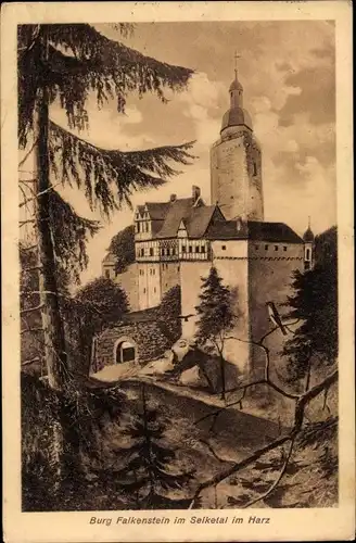 Ak Falkenstein im Harz, Selketal, Burg Falkenstein