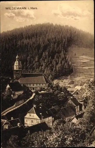 Ak Wildemann im Oberharz, Ortschaft mit Kirche und Wald
