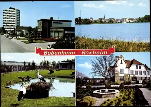 Ak Bobenheim Roxheim in der Pfalz,  Ortsansichten, Störche, Brunnen
