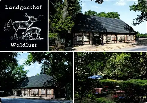 Ak Kühren in Schleswig Holstein, Landgasthof Waldlust, Außenansichten, Terrasse