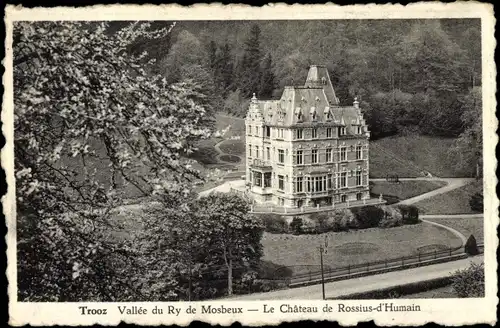 Ak Trooz Wallonien Lüttich, Vallée du Ry de Mosbeux, Chateau de Rossius d'Humain