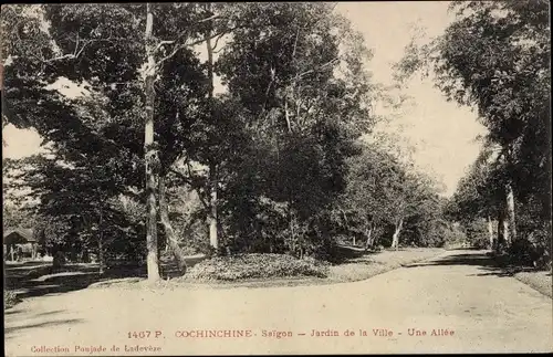 Ak Saigon Cochinchine Vietnam, Jardin de la Ville, Une Allee