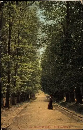 Ak Hampstead London England, The Avenue